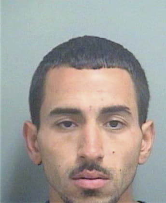 Alberto Deleonbarrios, - Palm Beach County, FL 